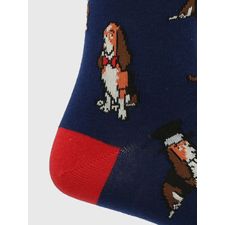 CALCETIN HOMBRE I25H C HAT BASSET