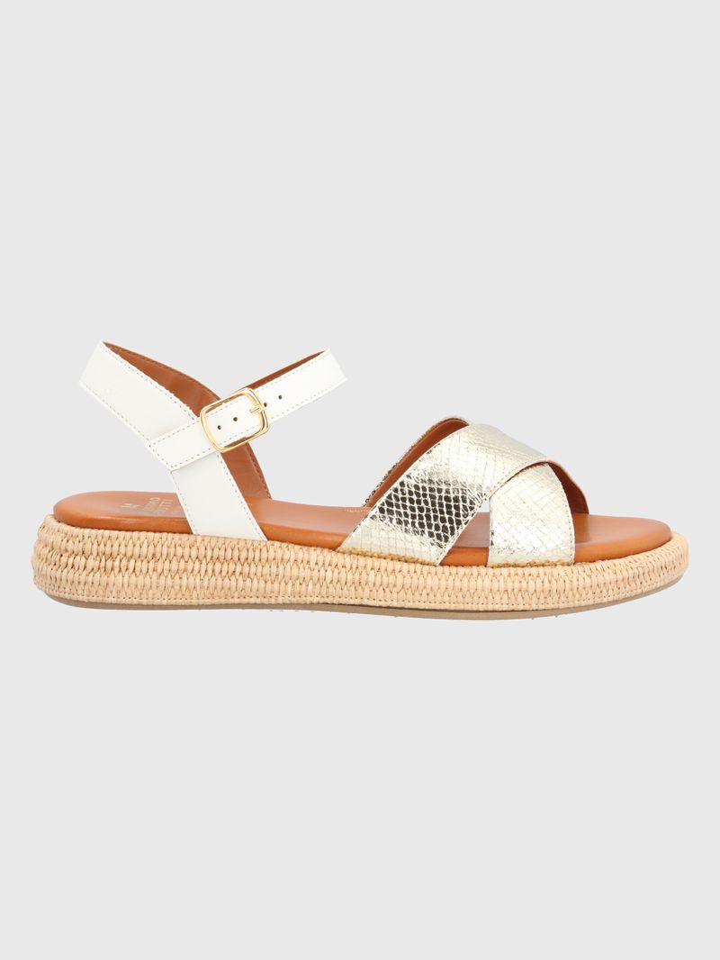 hp21001113443-w60-2-category-product-image